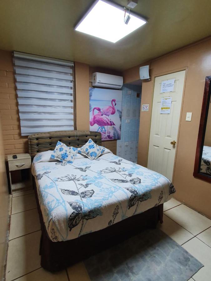 Hostal Mi Maravilla Ла Серена Екстериор снимка